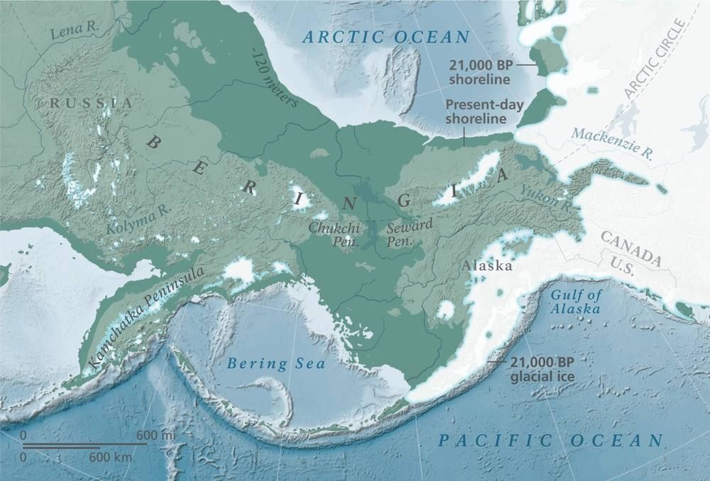 A shaded relief map of the Bering Sea region with the exposed land bridge in green, present-day coastlines outlined and glacial ice in white.