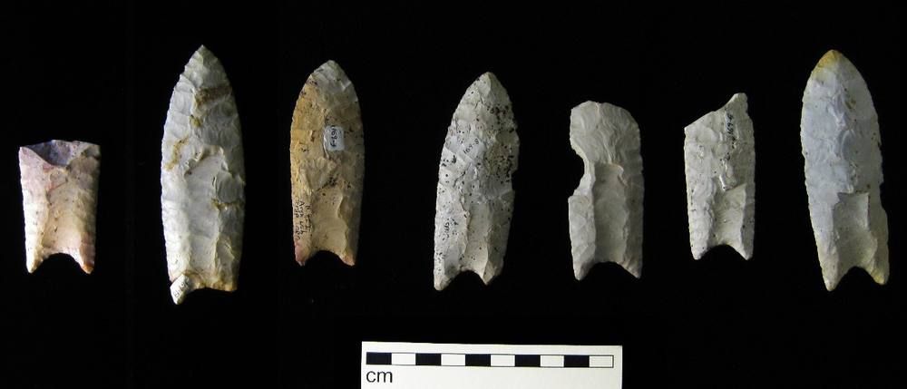 Seven pale flaked stone spear points of varying size on a black background above a centimeter scale bar.