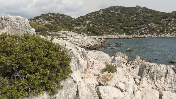 A rocky white limestone shoreline with a green shrub in the foreground, a calm blue bay on the right and scrub-covered hills behind under an overcast sky.