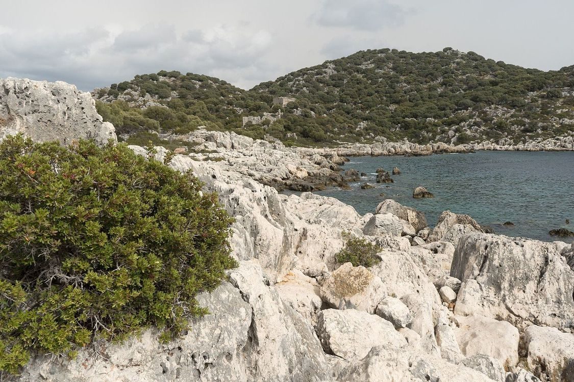 A rocky white limestone shoreline with a green shrub in the foreground, a calm blue bay on the right and scrub-covered hills behind under an overcast sky.